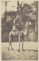 KF 1966 008
<br/>
Dromadaire de course à Mr. Popolani Kaire
<br/>
<em>Jarrot, Édouard (1835 - 1873)</em>